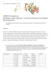 VERBOS: Revisión de Morfología / Modo Indicativo / Uso