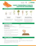 carta tecnológica para el cultivo de zanahoria - inifap
