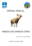 manual para el manejo de ganado ovino