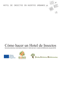 Cómo hacer un Hotel de Insectos
