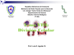 Tema VIII: División Celular - Ciencias Biológicas 3° Año