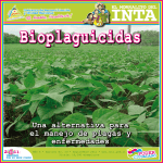 Morralito Bioplaguicidas 2012