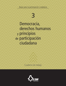 Democracia, derechos humanos y principios de participación
