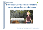 Biosfera: Circulación Biosfera: Circulación de materia de materia y
