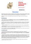 Hamster Clínica Veterinaria SAVEGA
