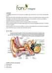 AUDICION La audición constituye los procesos psico