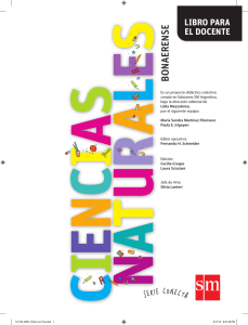 bonaerense - SM Argentina