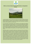 REDD+ y las Causas Subyacentes de la Deforestación y la