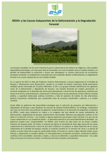 REDD+ y las Causas Subyacentes de la Deforestación y la