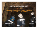 metalurgia del oro - Geco