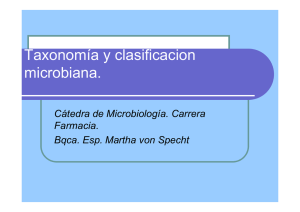 Bacteria - Aula Virtual FCEQyN
