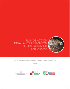 para la conservación de los jaguares en panamá