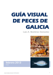 guía visual de peces de galicia