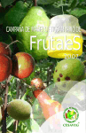 folleto fruta.cdr