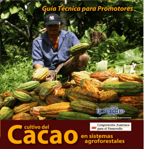 Cultivo del Cacao en Sistemas Agroforestales
