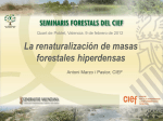 La renaturalización de masas forestales hiperdensas