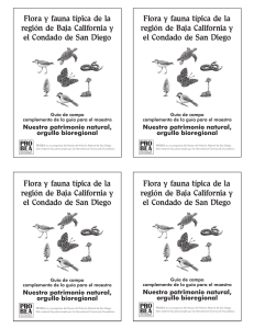 Flora y fauna típica de la región de Baja California y el Condado de