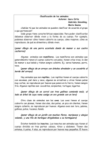 ¿Sabías tú que los animales se pueden clasificar de acuerdo al
