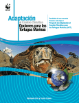 Proyecto de Adaptación al Cambio Climático para las Tortugas