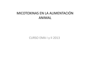 micotoxinas en la alimentación animal