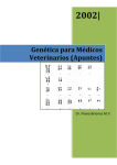 2002 - Homeopatía Veterinaria