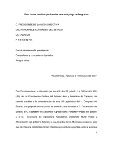 Para tomar las medidas pertinentes ante una plaga de langostas.