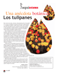Una anécdota botánica: Los tulipanes Una anécdota botánica: