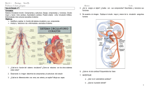Guía de Estudio n°3 Conceptos: Sistema Circulatorio función