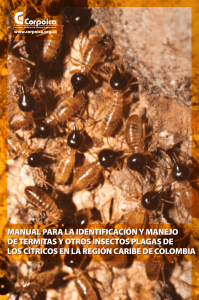 manual para la identificación y manejo de termitas y otros insectos