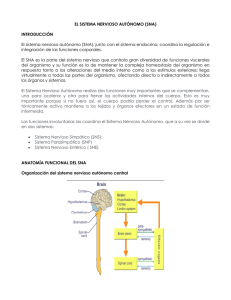 EL SISTEMA NERVIOSO AUTÓNOMO (SNA) INTRODUCCIÓN El