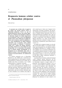 Respuesta inmune celular contra el Plasmodium falciparum