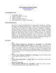 Descargar CV