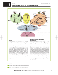 árbol filogenético de los cinco reinos de seres vivos - tras