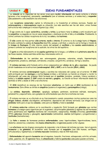 IDEAS FUNDAMENTALES