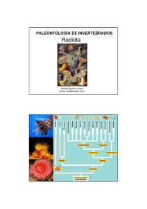 Radiata - Paleontología de invertebrados