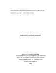Explotación de Gallinas Campesinas con alternativas alimenticias