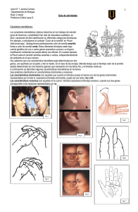 Descargar Archivo - Liceo Javiera Carrera