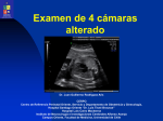 Evaluación Anatomica del Corazón Fetal