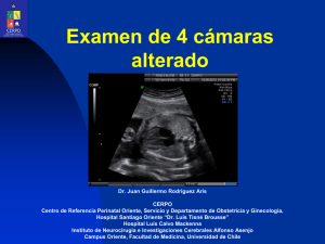 Evaluación Anatomica del Corazón Fetal