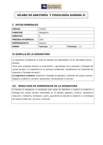 Plantilla sílabo 2011 UCCI