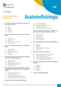 Anatomofisiología - ctoenfermeria.com