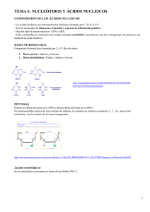 tema 6: nucleótidos y ácidos nucleicos
