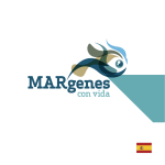 MARgenes
