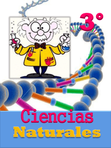 Ser vivo Se puede ver a simple vista