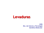 Levaduras2-MP-2014