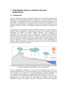 Guia de apoyo de Rocas Sedimentarias