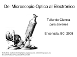 Del Microscopio Optico al Electrónico