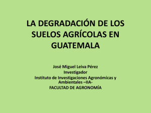 la degradación de los suelos agrícolas en guatemala