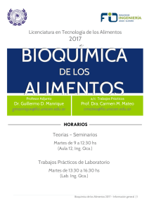 Información General y Cronograma 2017 - fio