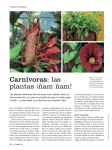 Carnívoras: las plantas ¡ñam ñam!